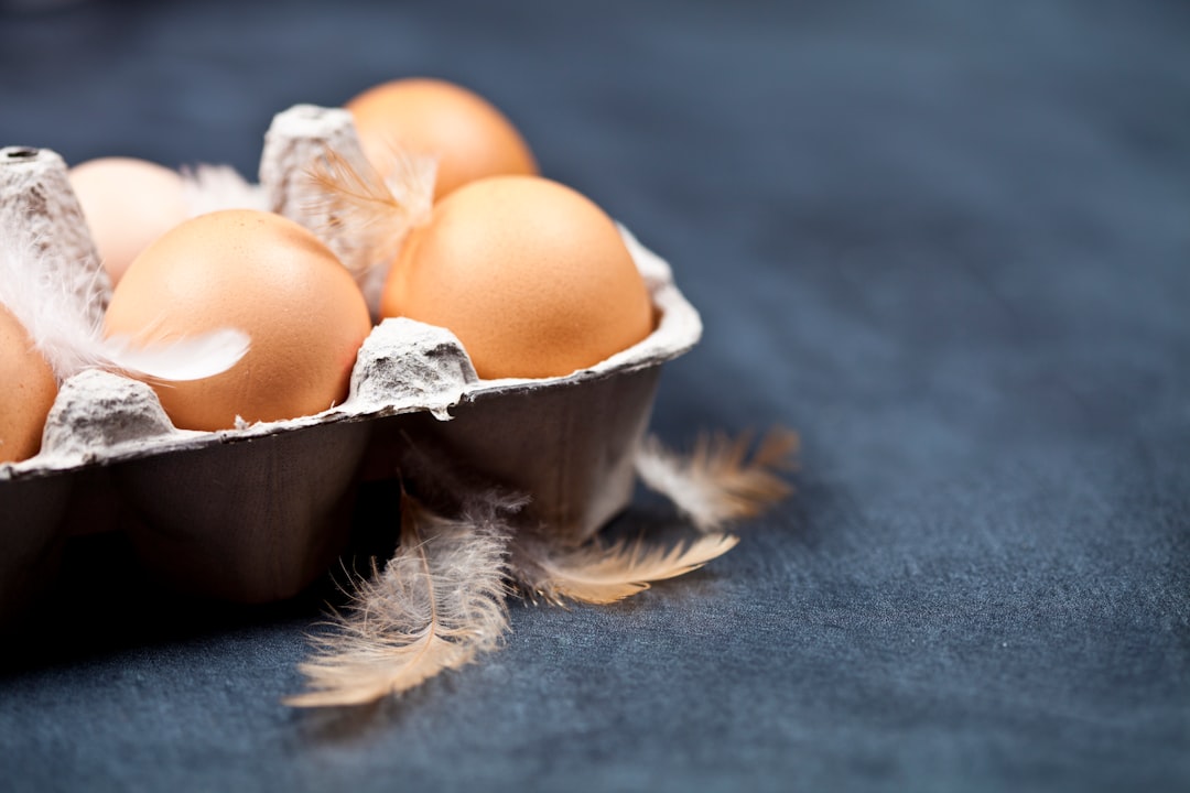 High Protein Low Calorie Meals UK Weight Loss: Effective Plans for Beginners