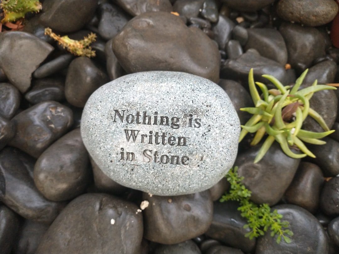 How to Lose a Stone in 12 Weeks UK: A Beginner’s Guide